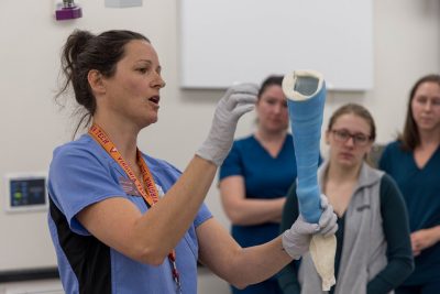 Veterinary professional holding an example of a cast for a dog.