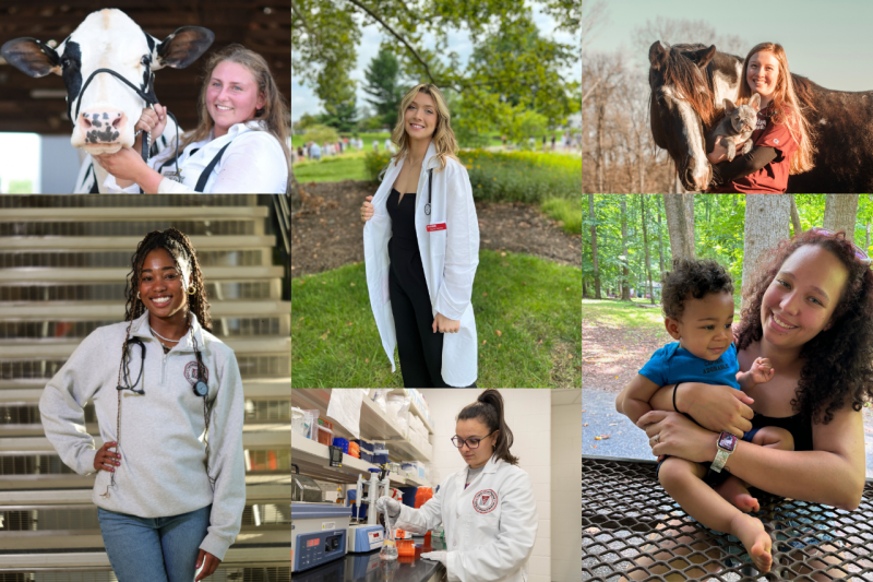 (From top left) Lily Stenning, Skylar Merkle, Cortni Richard, Jessica Vester, Lauren Maghak, and Brittany Reed in a collage of photos