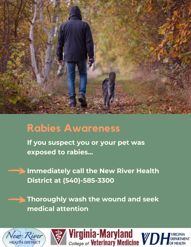 Rabies awareness graphic developed by the ILE team. 